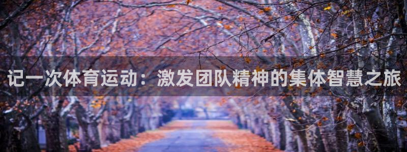 哈哈体育下载：记一次体育运动：激发团队精神的集体智慧之旅
