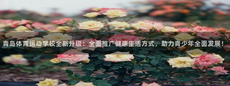 哈哈体育十年：青岛体育运动学校全新升级：全面推广健康生活方式，助力青少年全面发展！