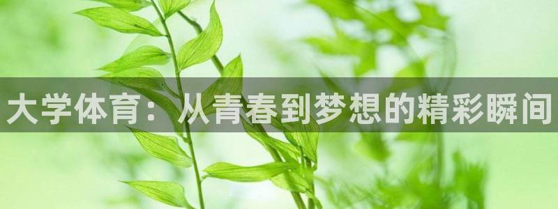 哈哈体育十年：大学体育：从青春到梦想的精彩瞬间