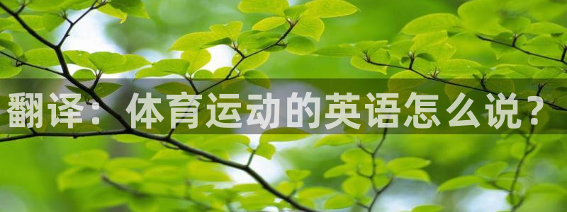哈哈体育十年：翻译：体育运动的英语怎么说？