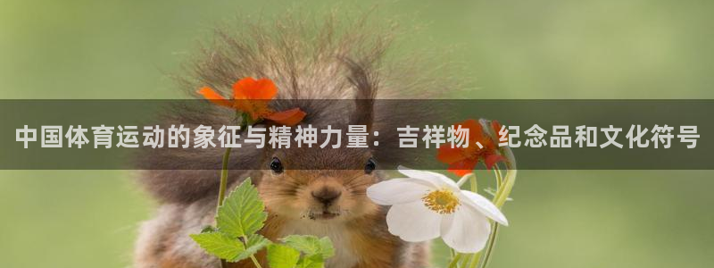 哈哈体育：中国体育运动的象征与精神力量：吉祥物、纪念品和文化符号