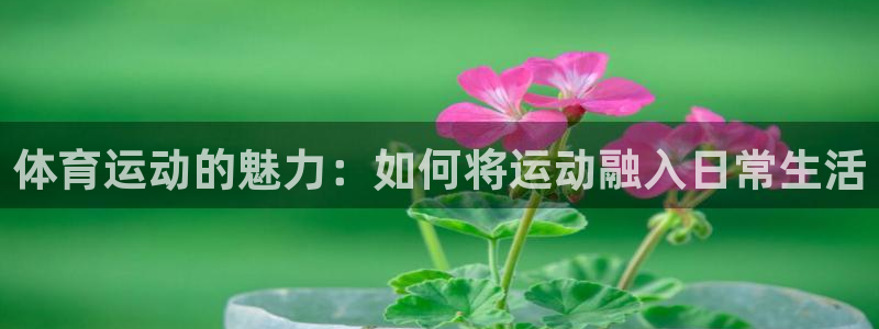 哈哈体育下载：体育运动的魅力：如何将运动融入日常生活