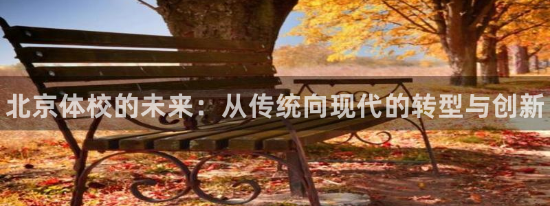 哈哈体育十年：北京体校的未来：从传统向现代的转型与创新
