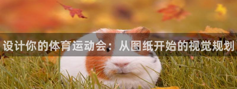 哈哈体育十年：设计你的体育运动会：从图纸开始的视觉规划