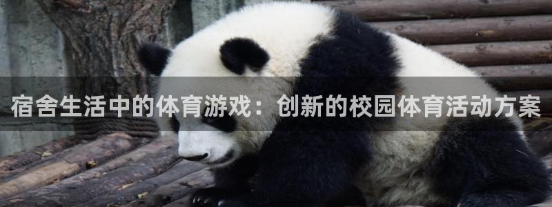 哈哈体育：宿舍生活中的体育游戏：创新的校园体育活动方案