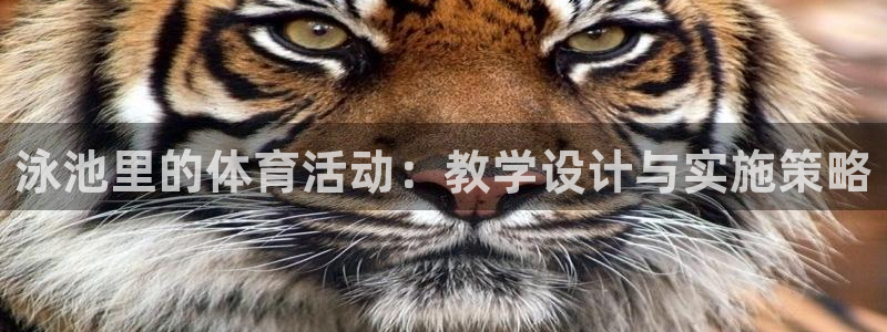 哈哈体育：泳池里的体育活动：教学设计与实施策略