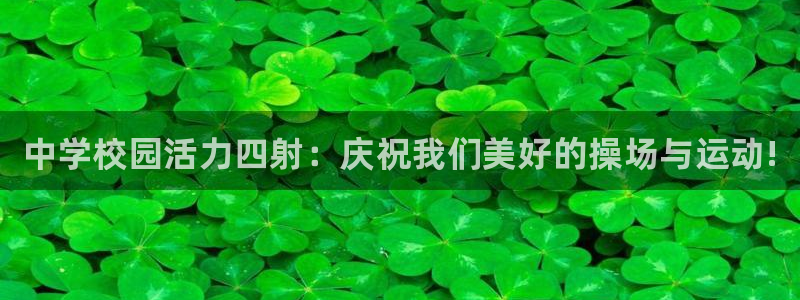 哈哈体育十年：中学校园活力四射：庆祝我们美好的操场与运动!