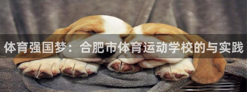 哈哈体育：体育强国梦：合肥市体育运动学校的与实践