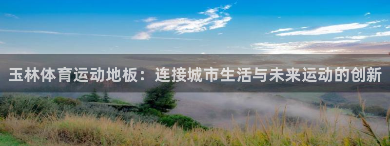哈哈体育下载：玉林体育运动地板：连接城市生活与未来运动的创新