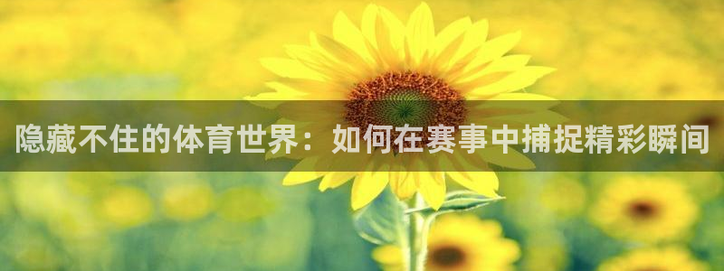 哈哈体育下载：隐藏不住的体育世界：如何在赛事中捕捉精彩瞬间