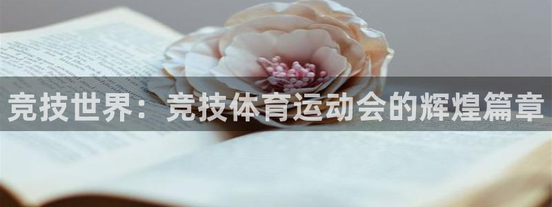 哈哈体育十年：竞技世界：竞技体育运动会的辉煌篇章