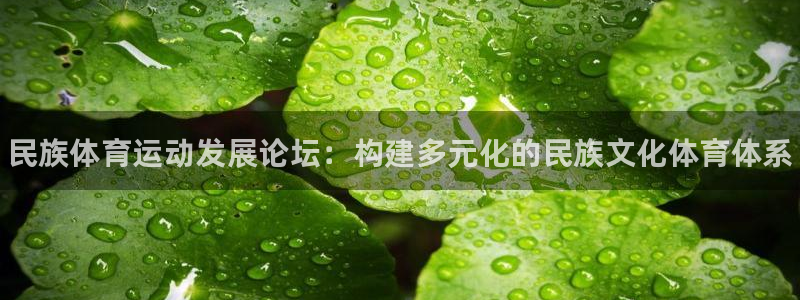 哈哈体育十年：民族体育运动发展论坛：构建多元化的民族文化体育体系