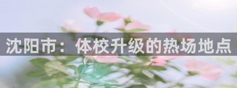 哈哈体育十年：沈阳市：体校升级的热场地点